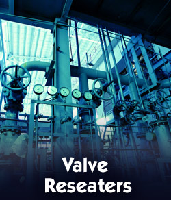 Link to Dexter Valve Reseaters page